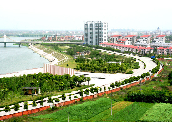 金东