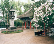 黑水