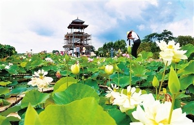 覃塘